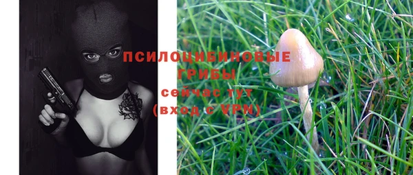 mix Верея
